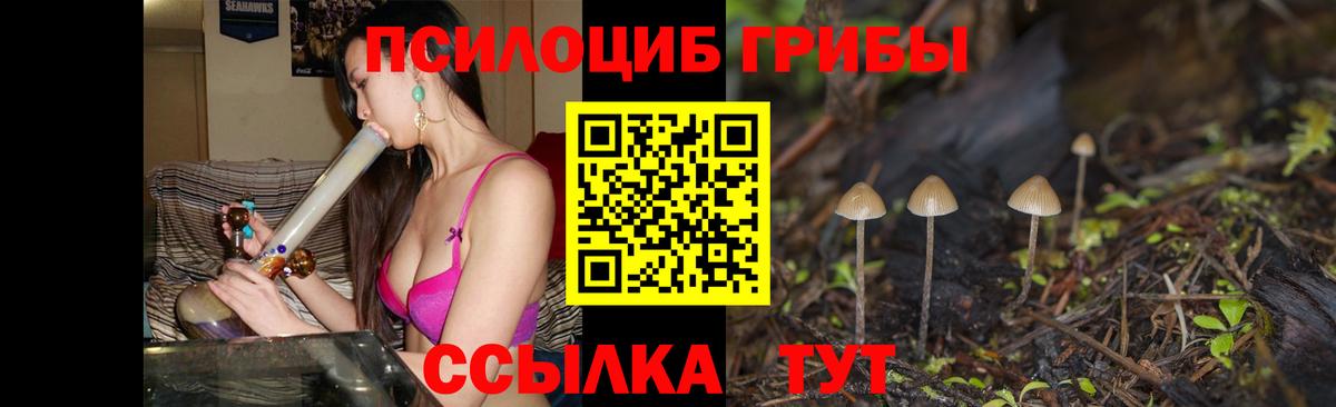 магазин продажи   Вход с VPN  Сланцы  Псилоцибиновые грибы GOLDEN TEACHER  Галлюциногенные грибы Psilocybine cubensis 